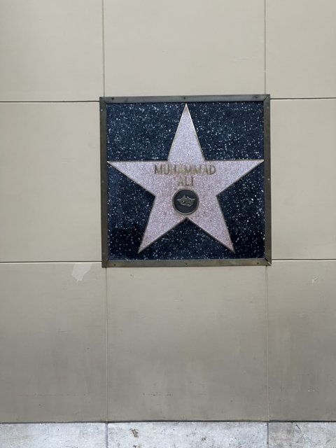 Zdjęcie z podróży